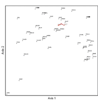 Figure 2: Results of canonical correspondence analysis (CCA) using bird species abundance values and scores for the first three vegetation principal components. Species that occur together on bird census points are grouped together in the figure. Principal component 1 and principal component 3 were correlated with the ordination axes.